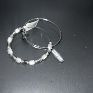 alex and ani bracelet set